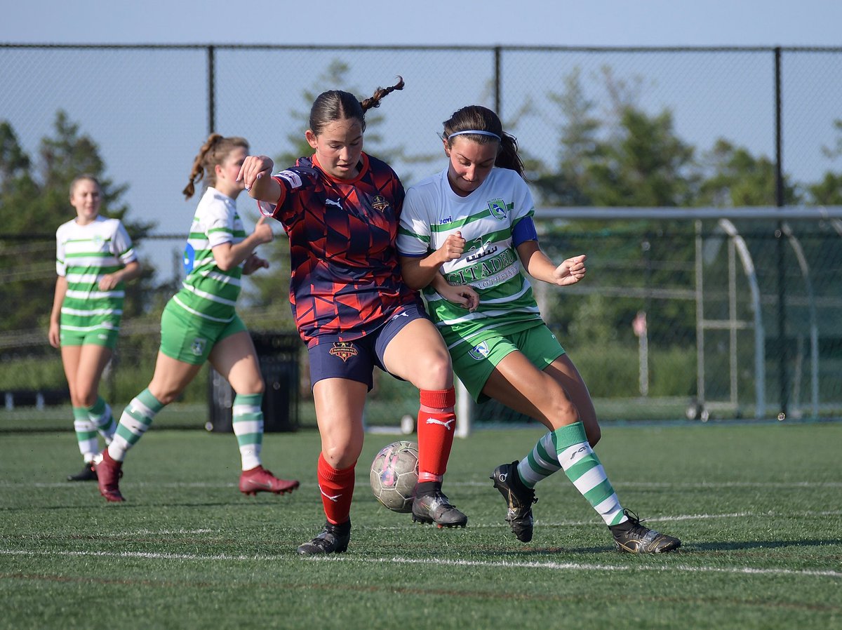 DW Photo tweet media