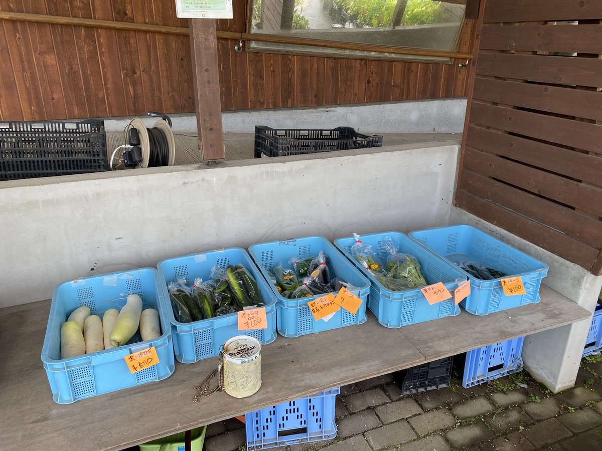 niseko762's tweet photo. 9時台は、里見地域コミュニティセンター直売所よりお届けしました！🍅

道の駅の直売所と合わせて、ぜひお立ち寄りください🚗💭

#ラジオニセコ https://t.co/o57XUa4mIV