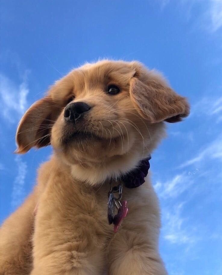twaniimals's tweet photo. https://t.co/zxbUVY48XS