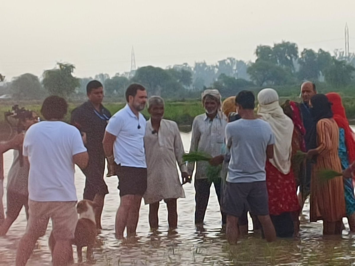 LalanKumarINC's tweet photo. जब सुबह - सुबह सोनीपत में खेत में धान की रोपाई कर रहे किसानों क�� बीच पहुंचें जननेता श्री @RahulGandhi जी....

इस बीच उन्होंने ट्रैक्टर भी चलाया और देश क��� अन्नदाता के मन की बात भी सुनी।

किसानों का नेता, किसानों के बीच!!

#Congress #RahulGandhi https://t.co/kA8NUdJppv
