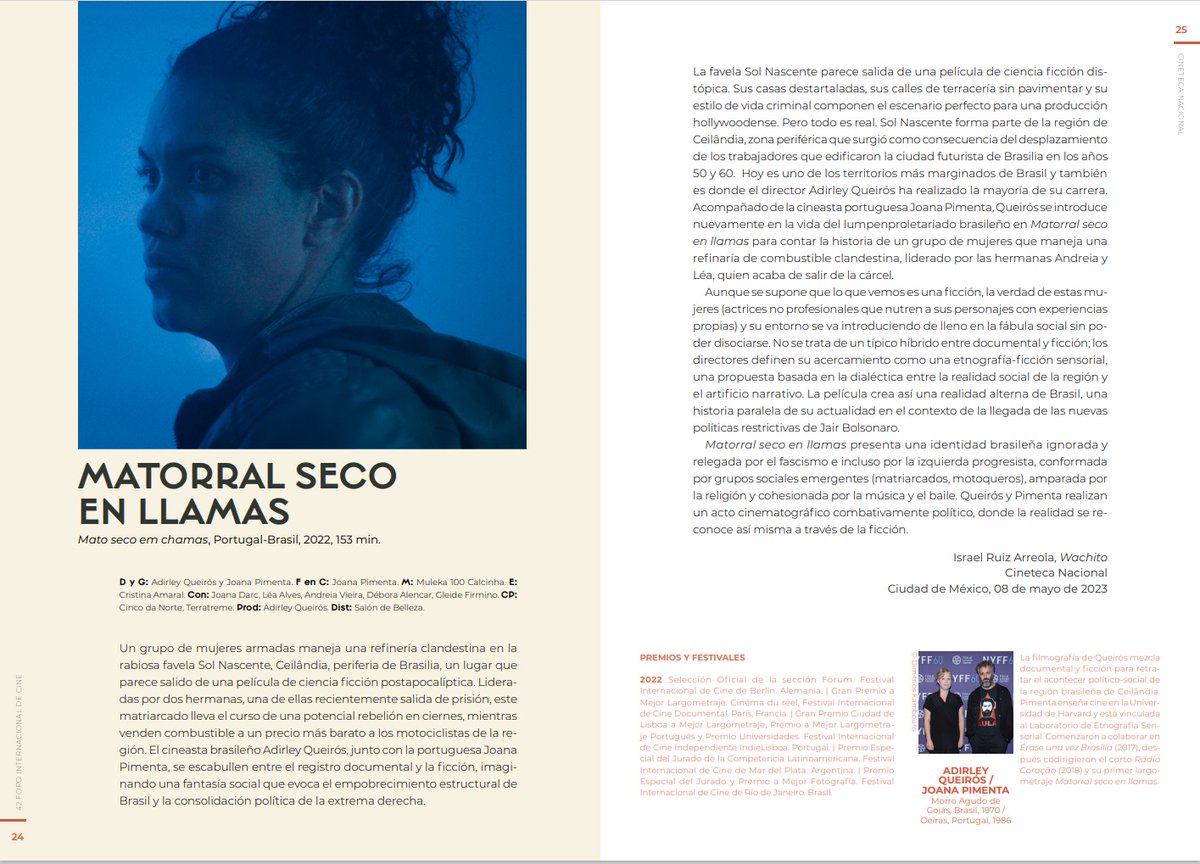 niño pelusa tweet media