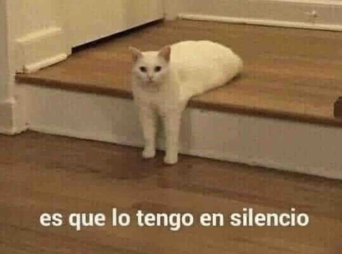 Guarromantico_'s tweet photo. *Pierdo mi celular en mi casa*

Alguien: Márcale para que suene.
Yo: https://t.co/u469IUtGKq