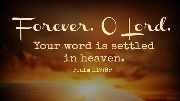 lion of Judah (@emmanuelobi476) on Twitter photo <a href="/sarventxav44/">francis xavier</a> <a href="/EllahieCooking/">Karam Ellahie</a> <a href="/PONCHOAGOPLA/">Poncho Gรณmez-Plaza</a> <a href="/hickoryhill8520/">Wendell</a> <a href="/GraceSamuel888/">Grace Samuel</a> <a href="/Maryellen_Boyle/">maryellen boyle</a> <a href="/Pistol480/">Peter</a> <a href="/elliesangelwing/">Doreen</a> <a href="/albert_kayi/">Albert D. Kayisire โ</a> <a href="/ToddTrotter3/">Todd Trotter</a> <a href="/nancy757366841/">nancyrobinson</a> <a href="/Just_Carly_/">Carly</a> <a href="/beth7_b/">Beth7</a> <a href="/savebygrace71/">savedbygrace7</a> <a href="/beyaself1/">beyaself</a> <a href="/DallasClaude/">Claude L.Dallas, Jr.</a> <a href="/pritchhunter/">Trevor Pritchard</a> <a href="/elosisofficial/">Dyde Elosis โ๏ธ๐</a> <a href="/DrElnora/">Dr. Elnora Rowan</a> <a href="/Crystal71751706/">GodReigns</a> <a href="/holyghostpower3/">Sherona Young</a> <a href="/enriquillo2/">Enriquillo Amiama</a> <a href="/DavidTSummers3/">David T</a> <a href="/Emmanue37844681/">Emma</a> <a href="/EmmaMina8/">Emma Mina ๐ ๐ถ ๐</a> <a href="/ledrew/">ledrew fox</a> <a href="/GabrielleMary55/">Gabrielle Mary+X</a> <a href="/LilyWhosoever/">Lily Whosoever</a> <a href="/LinsonVarughese/">Linson Varughese</a> <a href="/lemoncandys/">terri</a> <a href="/BeachcatTt/">Michelle</a> <a href="/KatrinaPrays/">Katrina โจ๐บ</a> <a href="/Kimberlyn2Jesus/">Kimberly</a> <a href="/kevinandrewtod5/">kevin andrew todd</a> <a href="/InnocentByabag5/">Innocent Byabagamba</a> <a href="/jlshine5/">julie ๐๐๐๐โก๏ธโ๏ธ๐๐๐ฅ</a> <a href="/Gust46/">Gus Gomez</a> <a href="/Stewart7Donna/">sparrow17</a> <a href="/Carole77777/">Carole</a> <a href="/pistol247/">Pete Dominguez</a> <a href="/FridayKaren/">Karen 'Girl' Friday</a> @Nerakale @KarenGentry99 <a href="/karenmariepen/">Karen Pennington</a> <a href="/KateNHF/">Kate Henderson</a> @Legacy5Girl @kenhar777 <a href="/JoeKent56511938/">Joe Kent</a> <a href="/brotherkenjones/">Kenneth Jones</a> Hallelujah!Praise Him!The grass withered,the flower fadeth,but the word of our God shall stand forever๐๐ <a href="/sarventxav44/">francis xavier</a> <a href="/EllahieCooking/">Karam Ellahie</a> <a href="/PONCHOAGOPLA/">Poncho Gรณmez-Plaza</a> <a href="/hickoryhill8520/">Wendell</a> <a href="/GraceSamuel888/">Grace Samuel</a> <a href="/Maryellen_Boyle/">maryellen boyle</a> <a href="/Pistol480/">Peter</a> <a href="/elliesangelwing/">Doreen</a> <a href="/albert_kayi/">Albert D. Kayisire โ</a> <a href="/ToddTrotter3/">Todd Trotter</a> <a href="/nancy757366841/">nancyrobinson</a> <a href="/Just_Carly_/">Carly</a> <a href="/beth7_b/">Beth7</a> <a href="/savebygrace71/">savedbygrace7</a> <a href="/beyaself1/">beyaself</a> <a href="/DallasClaude/">Claude L.Dallas, Jr.</a> <a href="/pritchhunter/">Trevor Pritchard</a> <a href="/elosisofficial/">Dyde Elosis โ๏ธ๐</a> <a href="/DrElnora/">Dr. Elnora Rowan</a> <a href="/Crystal71751706/">GodReigns</a> <a href="/holyghostpower3/">Sherona Young</a> <a href="/enriquillo2/">Enriquillo Amiama</a> <a href="/DavidTSummers3/">David T</a> <a href="/Emmanue37844681/">Emma</a> <a href="/EmmaMina8/">Emma Mina ๐ ๐ถ ๐</a> <a href="/ledrew/">ledrew fox</a> <a href="/GabrielleMary55/">Gabrielle Mary+X</a> <a href="/LilyWhosoever/">Lily Whosoever</a> <a href="/LinsonVarughese/">Linson Varughese</a> <a href="/lemoncandys/">terri</a> <a href="/BeachcatTt/">Michelle</a> <a href="/KatrinaPrays/">Katrina โจ๐บ</a> <a href="/Kimberlyn2Jesus/">Kimberly</a> <a href="/kevinandrewtod5/">kevin andrew todd</a> <a href="/InnocentByabag5/">Innocent Byabagamba</a> <a href="/jlshine5/">julie ๐๐๐๐โก๏ธโ๏ธ๐๐๐ฅ</a> <a href="/Gust46/">Gus Gomez</a> <a href="/Stewart7Donna/">sparrow17</a> <a href="/Carole77777/">Carole</a> <a href="/pistol247/">Pete Dominguez</a> <a href="/FridayKaren/">Karen 'Girl' Friday</a> @Nerakale @KarenGentry99 <a href="/karenmariepen/">Karen Pennington</a> <a href="/KateNHF/">Kate Henderson</a> @Legacy5Girl @kenhar777 <a href="/JoeKent56511938/">Joe Kent</a> <a href="/brotherkenjones/">Kenneth Jones</a> Hallelujah!Praise Him!The grass withered,the flower fadeth,but the word of our God shall stand forever๐๐