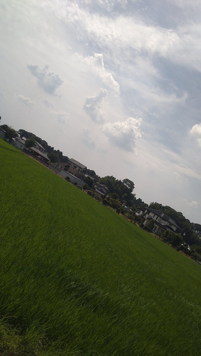 pinpan57's tweet photo. 今日はあいにくの雨ですが、
取りたかった資格の第一の壁の日✨
結果はともあれ、とりあえず終わって一安心😂

#雨 #資格 #試験 #やりたいことに向けて #第一歩 #緊張 #終わって一安心 #次なるステップ #楽しみ https://t.co/43lRnDgpAq