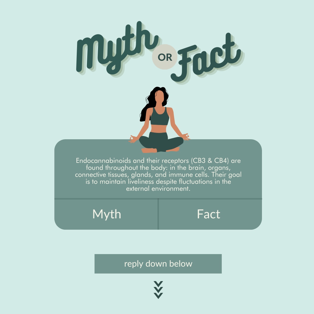 ElementApothec's tweet photo. Myth or Fact? 🤔
Need a hint? Check out our #educational post from this week! 

Reply to this tweet to answer! ✅

#elementapothec #MedEd #Health #HealthTalk #Wellness #wellnessjourney #quiz #plantbased #cbd #NaturalHealth https://t.co/oalugfxs2D