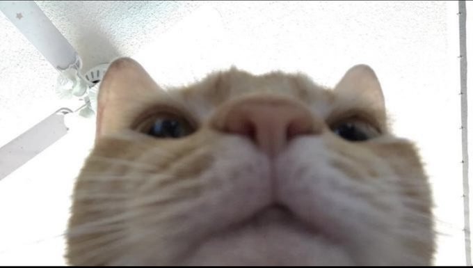 How u guys doin tonight? https://t.co/j9N7pFq1fu