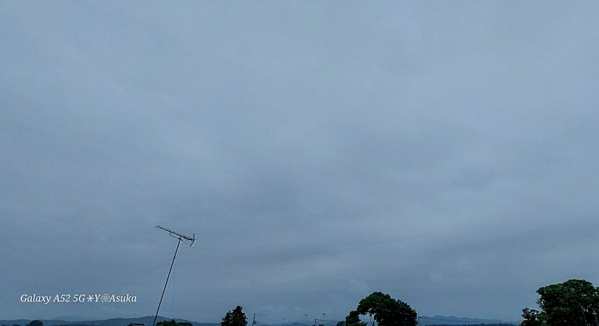 yumeasutw's tweet photo. どんより #梅雨空 の土曜日の朝🌧️
雨粒を纏いしっとりの #マツヨイグサ 💛
予想最高/最低気温🌡️29℃/24℃
雨時々曇り☔/☁️
雨が降ったり止んだりジメジメと蒸し暑い一日となりそうです😵💦
#待宵草 #庭花 #花 #Flower #雫
#マクロ撮影
#空の名前
#天気の図鑑 #雲の超図鑑
#a2023 #a0708 #a202307 https://t.co/lGgqqp07M3