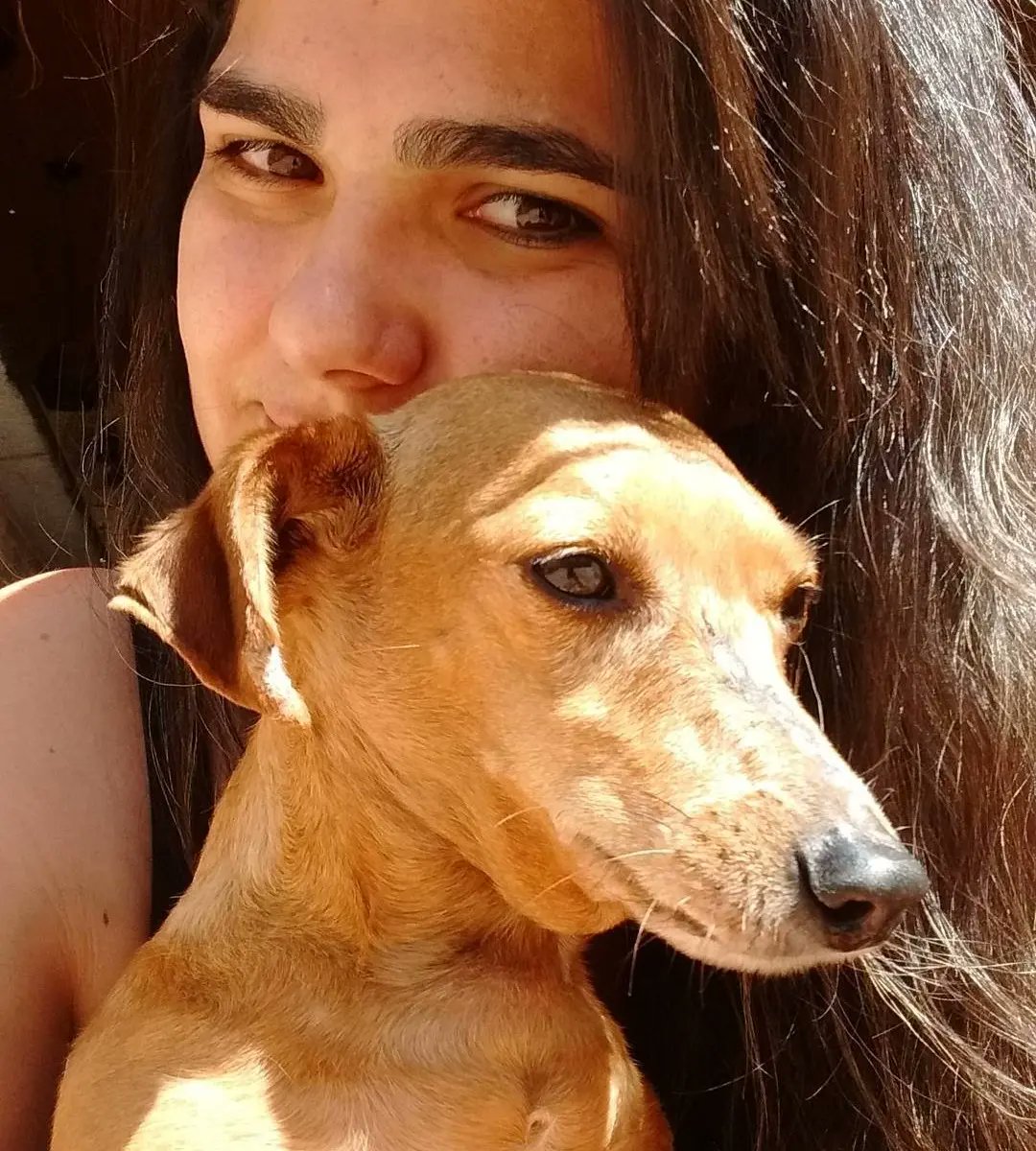 nadiahely's tweet photo. Minha filhinha nos deixou hoje, virou uma estrelinha... que falta você já está fazendo aqui Lola. 
Sempre vou te amar minha pequenininha ❤️ https://t.co/kGRXvrW5xM