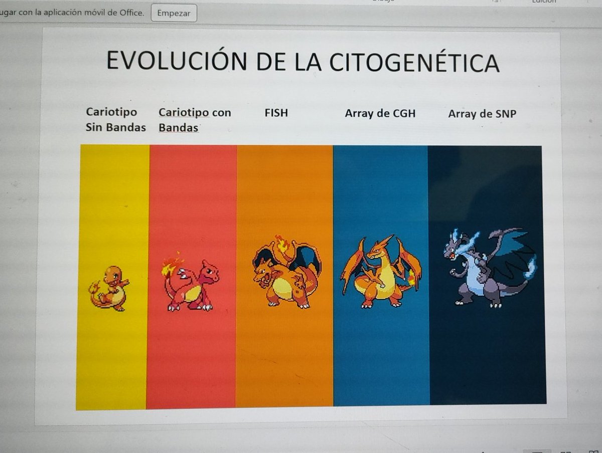 FIRE_OF_PHOENIX's tweet photo. ¿Quién dijo que Genética era difícil? Te lo explico con #pokemon #charmander #charmeleon  #charizard #charizardy #charizardx https://t.co/ldlBmqLxKf
