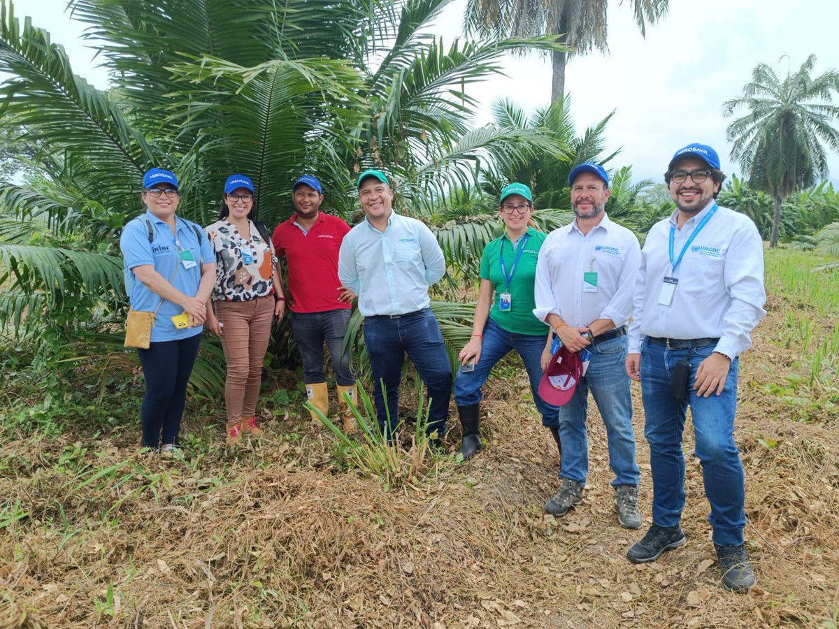 SomosAGROSAVIA's tweet photo. 🧵Nuestro #CICaribia recibió a representantes del gobierno de Bolivia interesados en conocer resultados de investigación en el cultivo de palma y la oferta tecnológica híbrido OxG Corpoica El Mira, con el objetivo de buscar una cooperación técnica y científica.👇🏼 https://t.co/yJHsTJKVRI