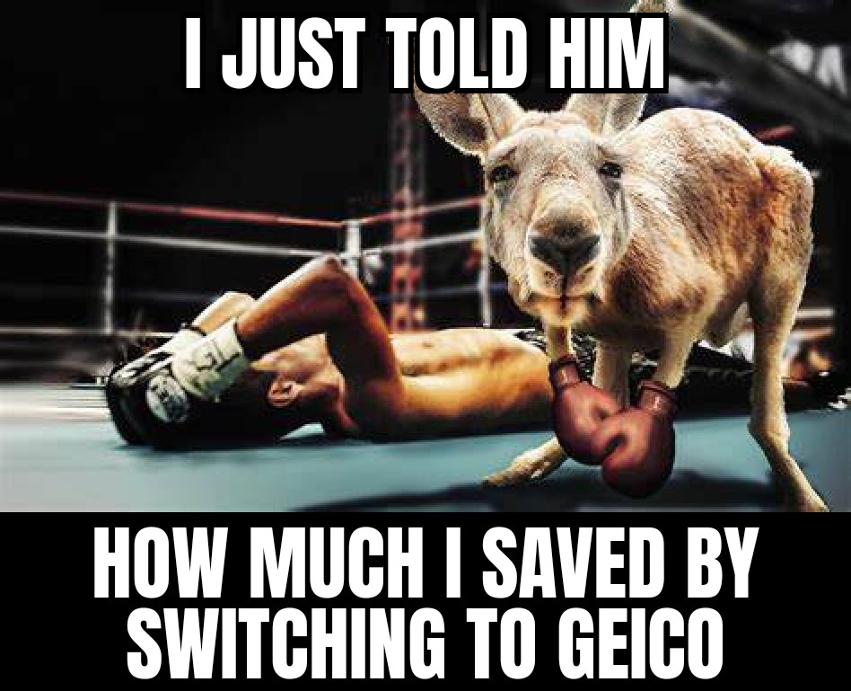 I just told him how much I saved by switching to Geico.
#meme #joke #haha #lmao #memes #geico #insurance
<a href="/geico/">GEICO</a> <a href="/thegeicogecko/">The GEICO Gecko</a>