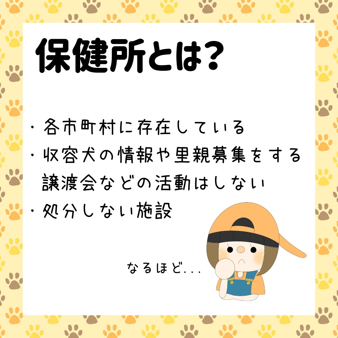 u_u18534119's tweet image. ＼🐕保健所と愛護センターの違いは？🐈／
お久しぶりの投稿です..!🙇‍♀️
今回は、保健所と愛護センターの違いについてまとめてみました!
#ProjectU #ProjectU〜動物が幸せに暮らせる環境を作ろう〜 #イラスト #漫画 #動物 #保護犬猫