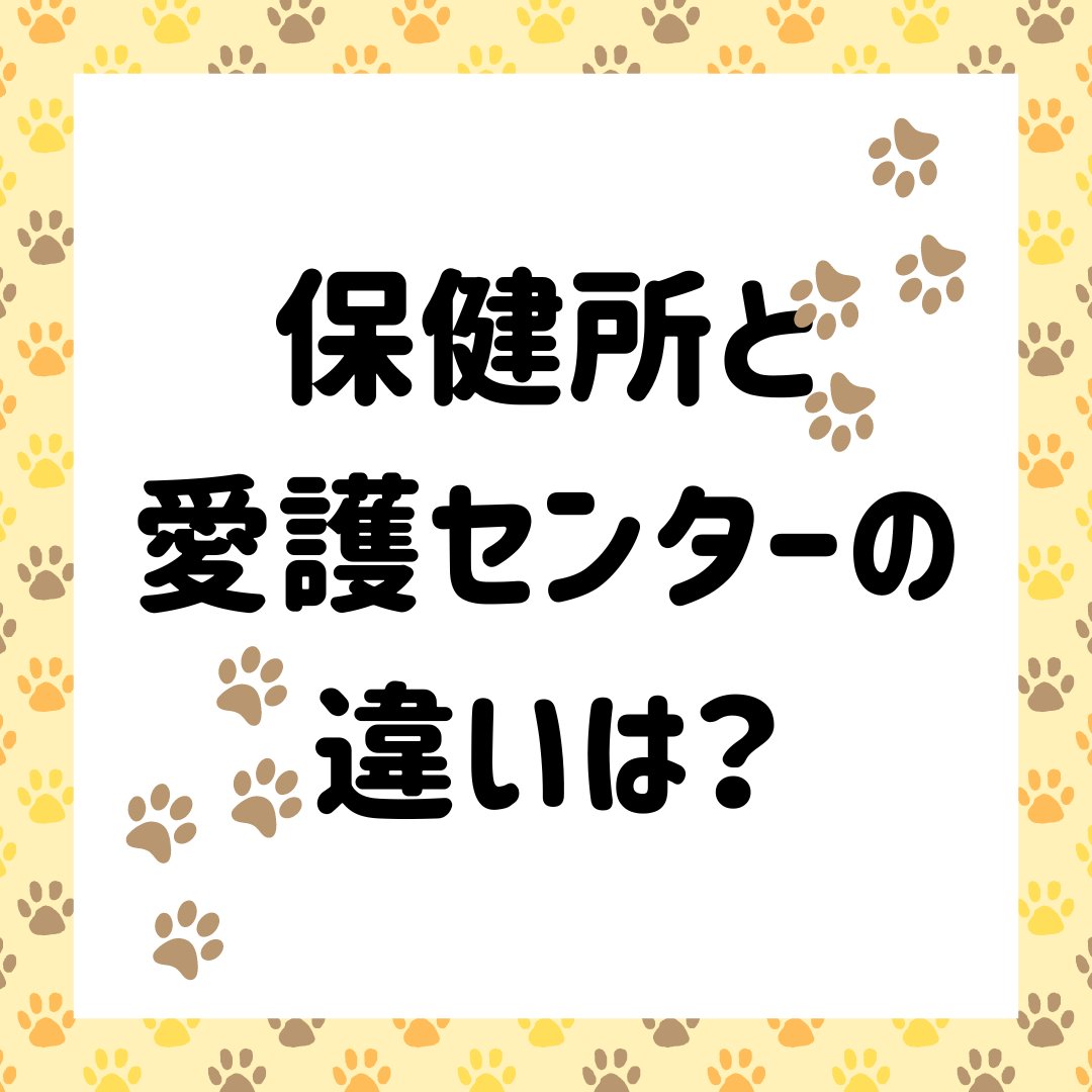 u_u18534119's tweet image. ＼🐕保健所と愛護センターの違いは？🐈／
お久しぶりの投稿です..!🙇‍♀️
今回は、保健所と愛護センターの違いについてまとめてみました!
#ProjectU #ProjectU〜動物が幸せに暮らせる環境を作ろう〜 #イラスト #漫画 #動物 #保護犬猫