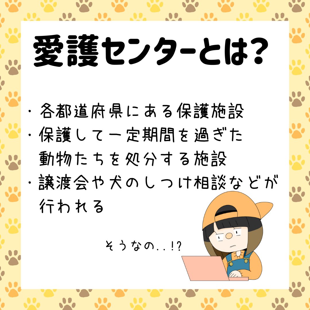 u_u18534119's tweet image. ＼🐕保健所と愛護センターの違いは？🐈／
お久しぶりの投稿です..!🙇‍♀️
今回は、保健所と愛護センターの違いについてまとめてみました!
#ProjectU #ProjectU〜動物が幸せに暮らせる環境を作ろう〜 #イラスト #漫画 #動物 #保護犬猫