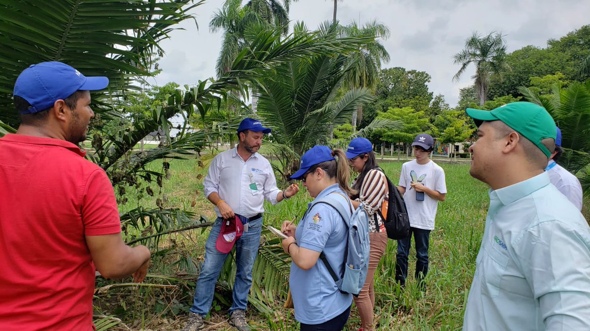 SomosAGROSAVIA's tweet photo. @MDRyTOficial Esta visita que fue guiada por el director del #CICaribia @ederc85 y acompañada por la @Unodcrocol se dio en el marco de una cooperación entre Bolivia y Colombia para la restitución de cultivos de coca. (Fin) https://t.co/0aAvX5nSA3