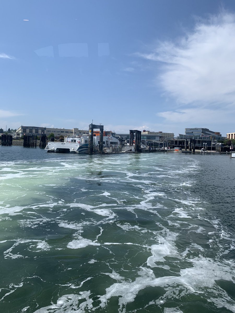 Trevor B tweet media