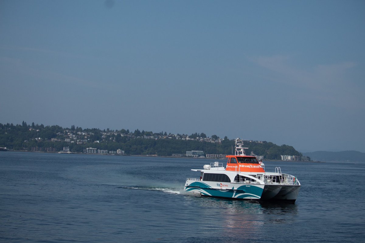 Trevor B tweet media