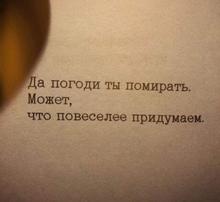 VogerJz's tweet photo. @pochirikaemm https://t.co/XUlat9xIc6