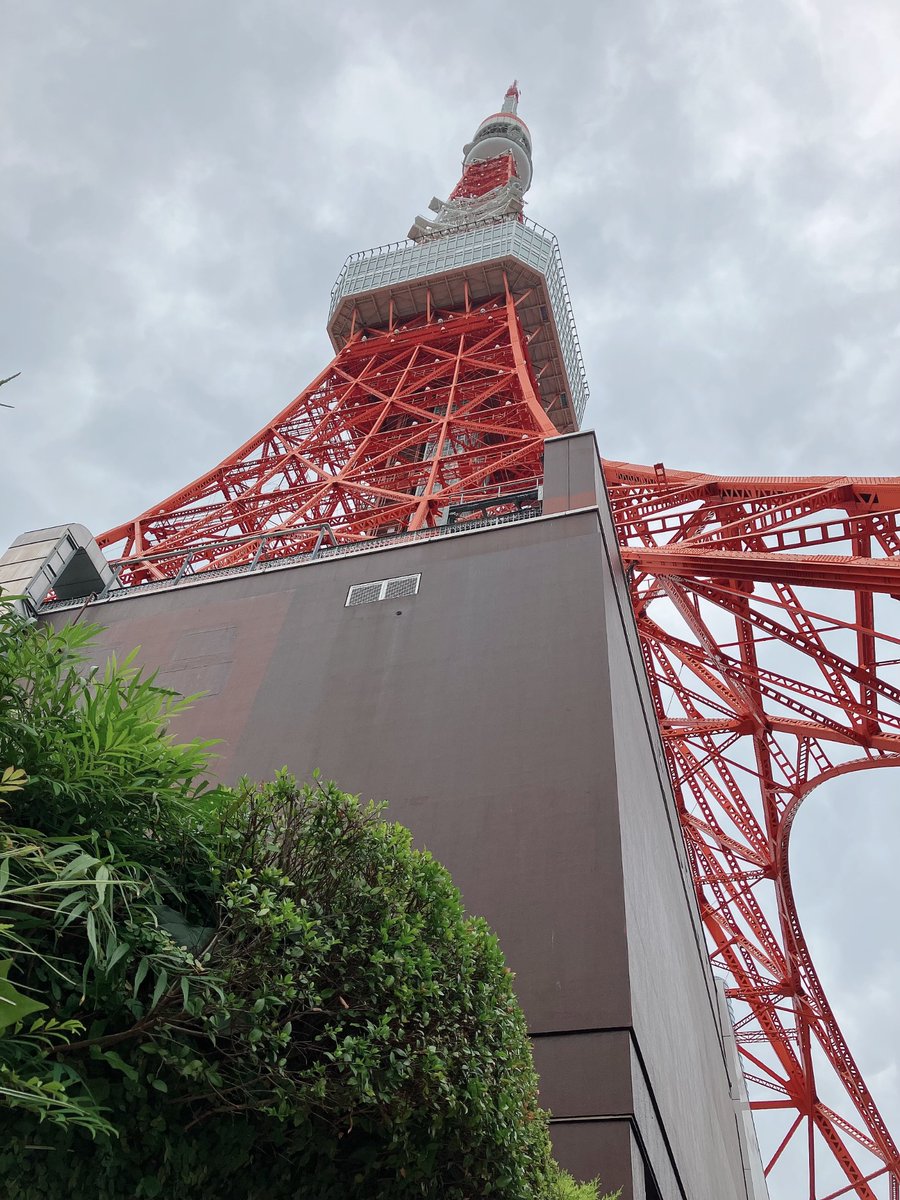 penko3kcal's tweet photo. 東京タワー！夜は久しぶりに踊る！ https://t.co/yPFBFYRFTn