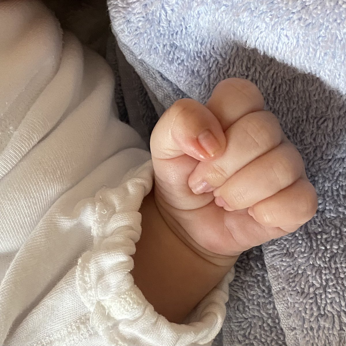 本日、5kgになりました。先月3kgだったのに大きくなるの早いッ！ https://t.co/WFgx6NRzw2