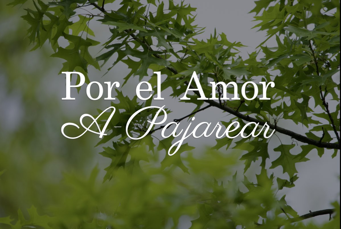 “Por el Amor a Pajarear”
 youtu.be/BnQxtjD3t3Y