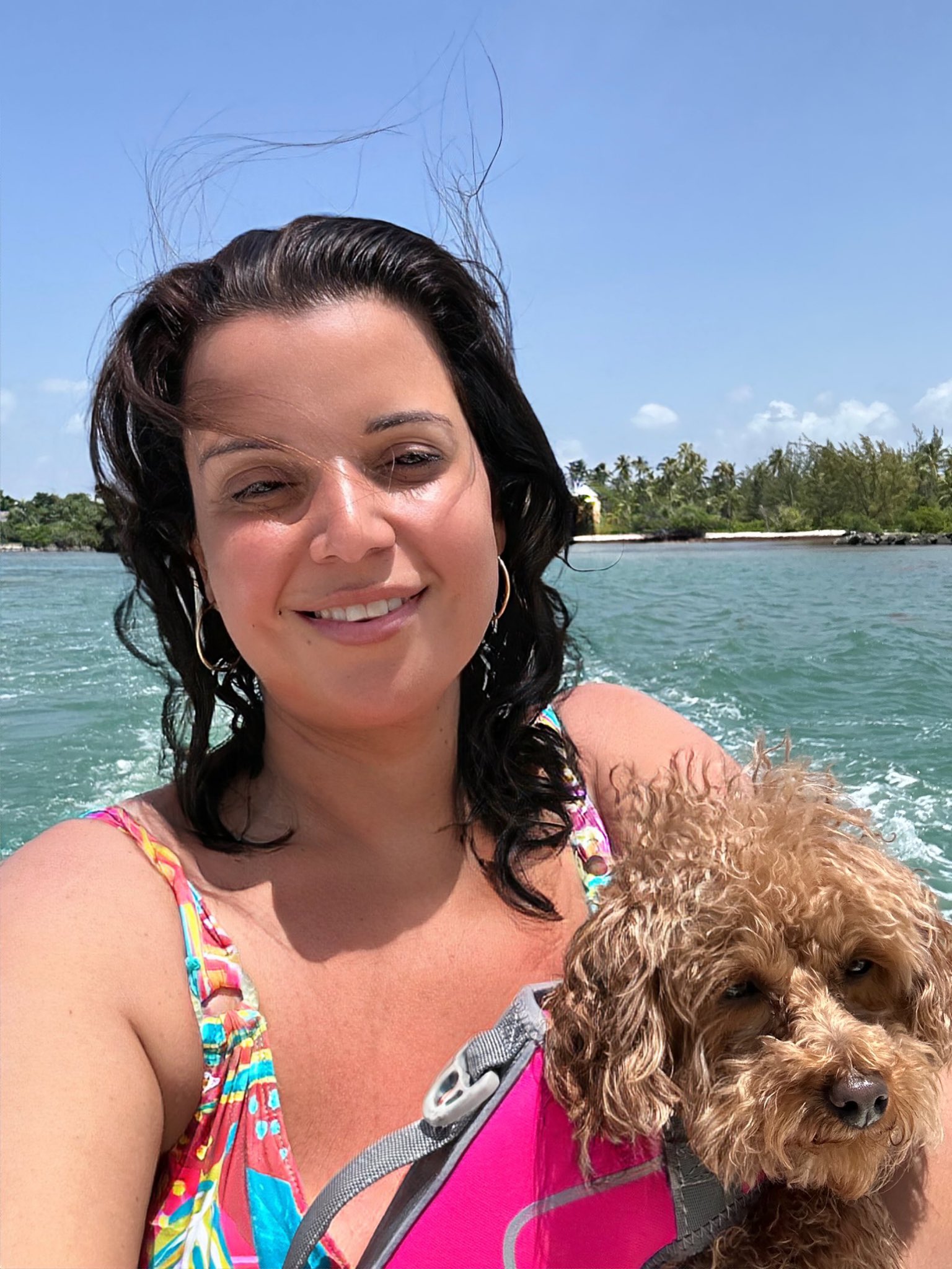 Ana Navarro-Cárdenas on Twitter: "I learned a new word today