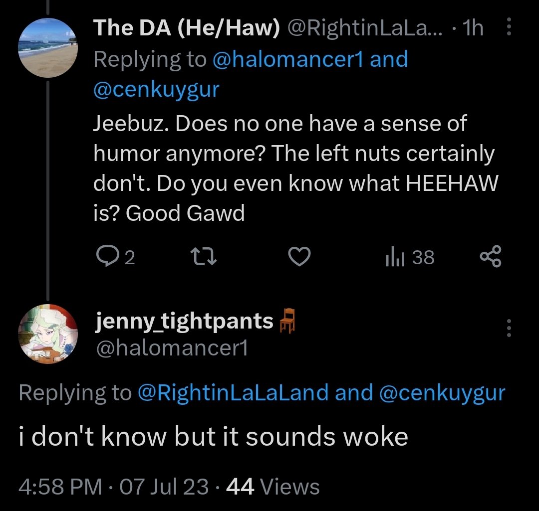 i love doing this to people who try to own the libs by putting ironic pronouns in their bio or whatever