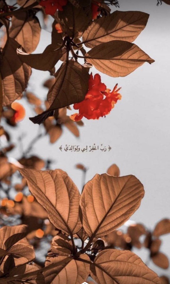 eyad99e's tweet photo. https://t.co/bLVIokNHFE