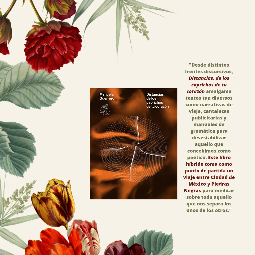 ChilangaLectora's tweet photo. ¡Llegó la convocatoria de julio! Nos acompaña Maricela Guerrero, que impartirá un taller para entrarle a la poesía, además, comentaremos su poemario Distancias. ¡Vengan! 😉💌📖🌲 https://t.co/jiPAigxOQ6
