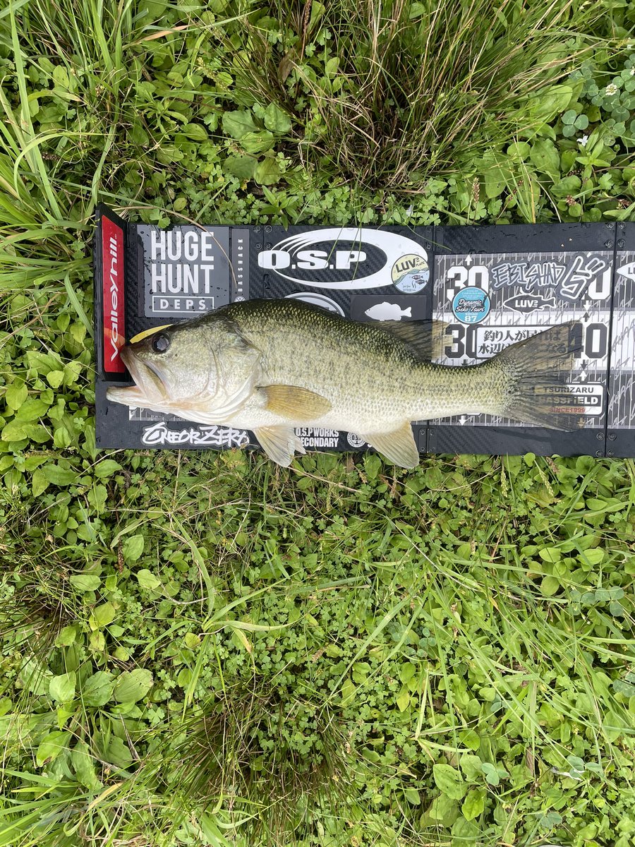 kayoko_bass's tweet photo. 釣れた٩(>ω<*)و
40.5cm✨✨✨
ヘビキャロ エビシャ3インチ
バックラッシュオリカラ
久しぶりにクリア系したら
釣れた😊

#BASSHACK89
#LUV2PLNT
#BSHC-73M/XH+
#valleyhill
#bassfield
#エビシャッド
#backrush
#オリカラ
#ヘビキャロ
#琵琶湖
#バス釣り https://t.co/p85kNuIRhn