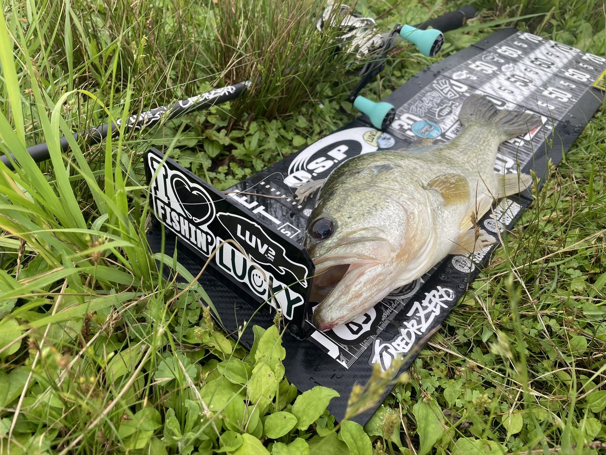 kayoko_bass's tweet photo. 釣れた٩(>ω<*)و
40.5cm✨✨✨
ヘビキャロ エビシャ3インチ
バックラッシュオリカラ
久しぶりにクリア系したら
釣れた😊

#BASSHACK89
#LUV2PLNT
#BSHC-73M/XH+
#valleyhill
#bassfield
#エビシャッド
#backrush
#オリカラ
#ヘビキャロ
#琵琶湖
#バス釣り https://t.co/p85kNuIRhn