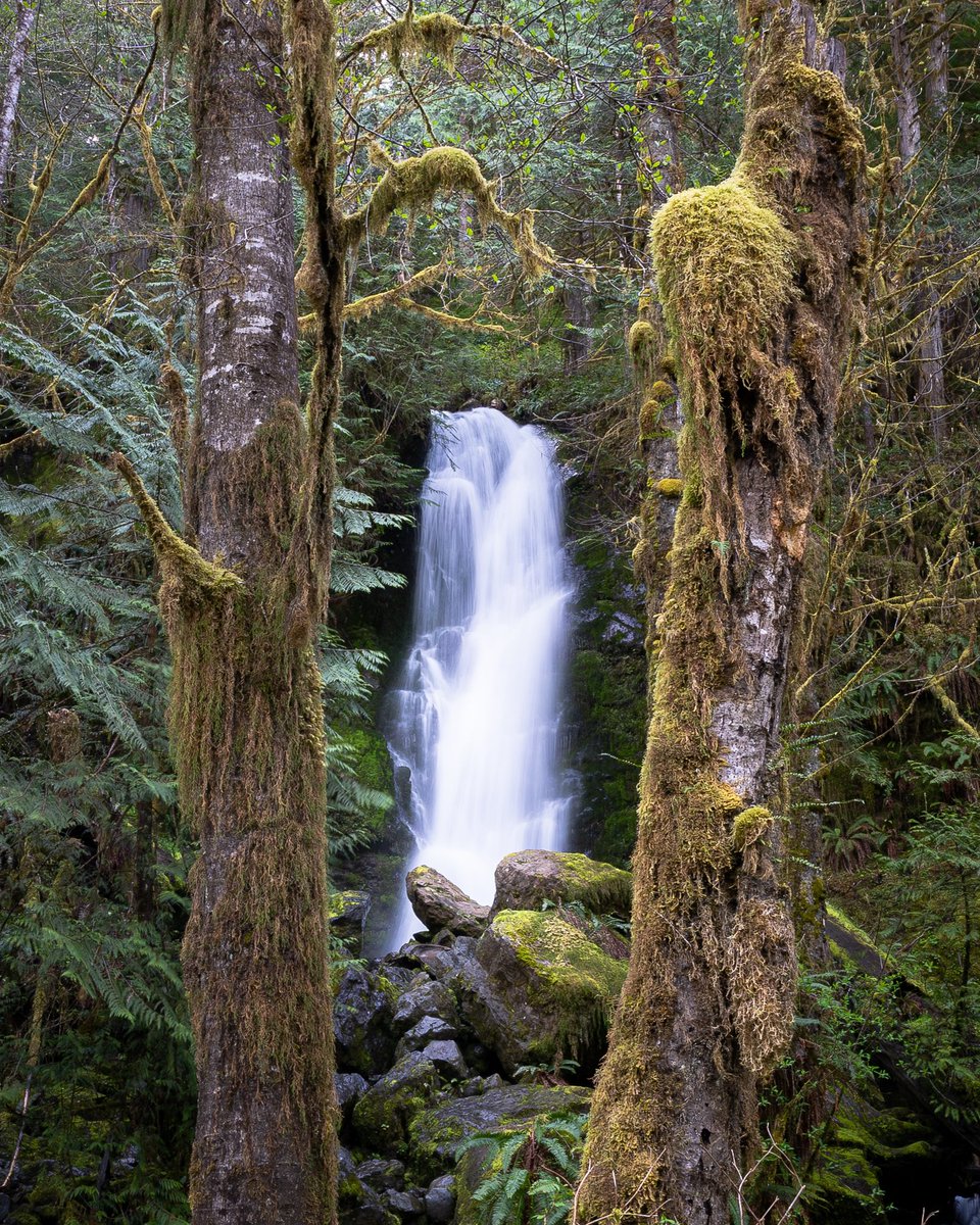 MomentoVisuals's tweet photo. @VisualsbySauter Hope you enjoy! Have a good weekend! https://t.co/QrbRft8bJX
