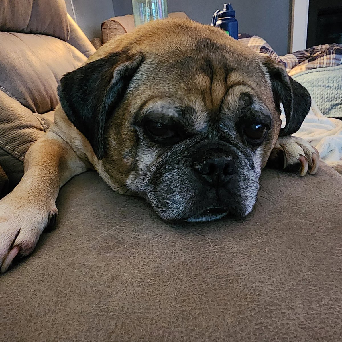 stolstyka1's tweet photo. @ReelzChannel #OPLiveNation This is his happy face. https://t.co/JRqI8X4Yzh