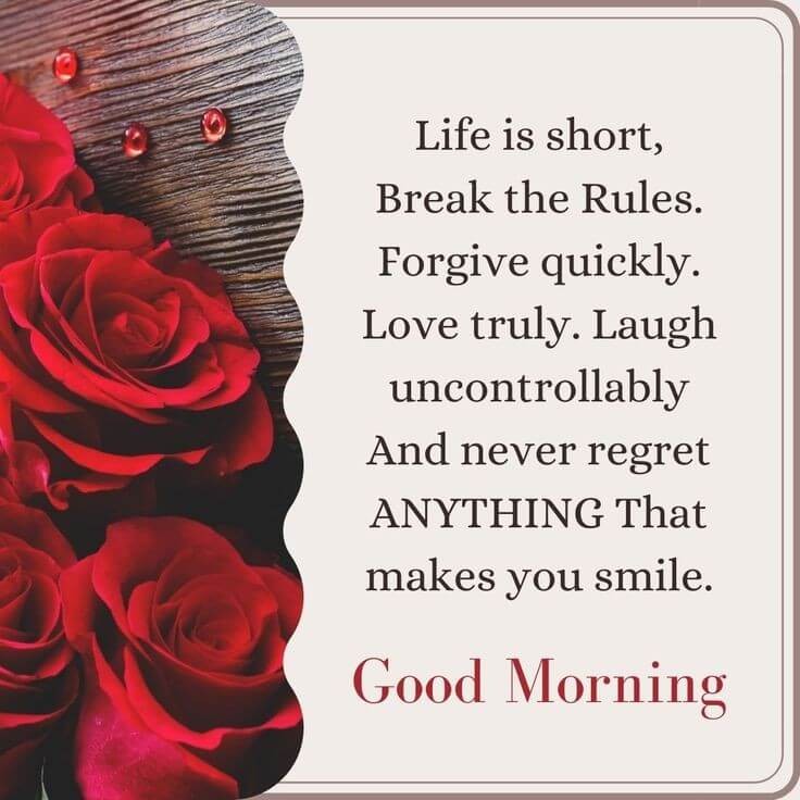 RakeshKumar3722's tweet photo. #SaturdayMotivation https://t.co/mhBZIatbGF