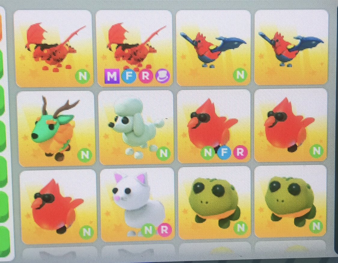 TTV_Adel's tweet photo. SELLING ADOPT ME PETS FOR

Robux or limiteds 

Not going first 

#adoptme #adoptmetradings #adoptmetraders #adoptmecrosstrading #Adoptmetrades #adoptmeforrobux #adoptmetorobux  #roblox #ROBLOX #roblox #ronaldointerview #royalehigh #YouTube https://t.co/BOGuRhqAEz