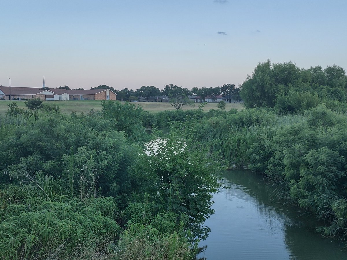 SamObiWon's tweet image. Scenes from a walk.
4.6 mi
#GreenTr
#BlueTr
#CarrolltonTX