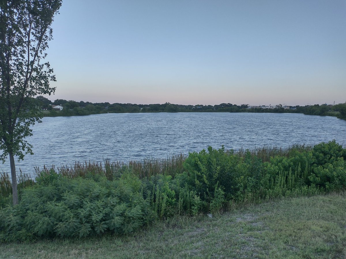 SamObiWon's tweet image. Scenes from a walk.
4.6 mi
#GreenTr
#BlueTr
#CarrolltonTX