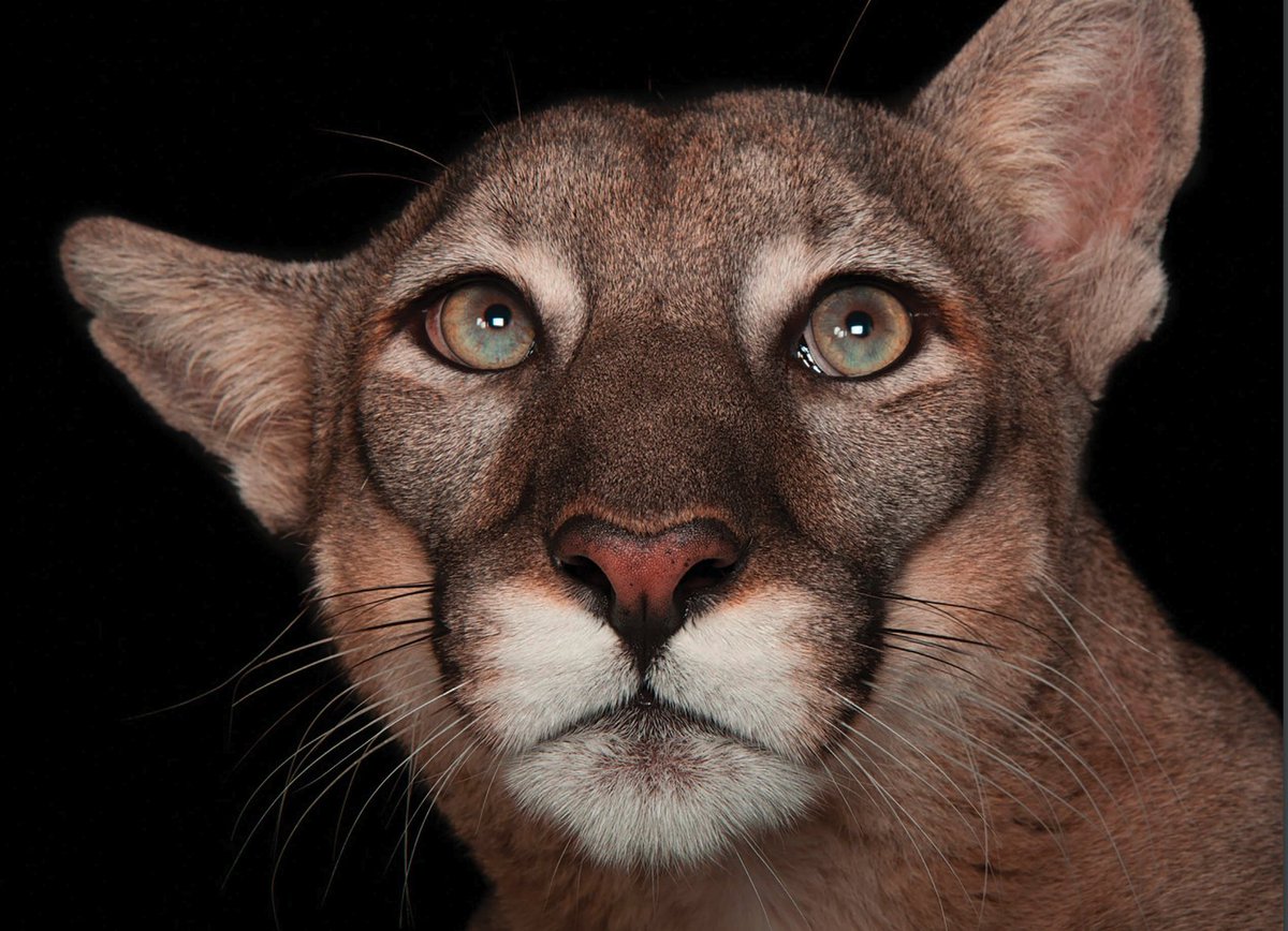 Por una constitución que proteja la naturaleza VOTA:

11.351 “Seguridad hídrica para Chile” ucampus.quieroparticipar.cl/m/iniciativas/…

11355 “Chile defiende la naturaleza para las futuras generaciones” ucampus.quieroparticipar.cl/m/iniciativas/…

11359 “Desarrollo verde para Chile” ucampus.quieroparticipar.cl/m/iniciativas/…