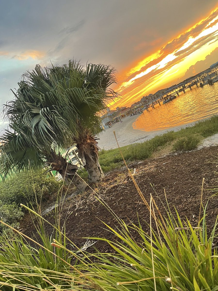 Sara_No_H_Evans's tweet photo. All ready@ hotel for the #AirShow tomorrow at #PensacolaBeach! Haha it is fun to #peoplewatch ⛵️⚓️🛥️
We had dinner at @RFishBlueFish &amp; was delish!!! A great 🌅 view! 
#gonavy #BlueAngels #Pensacola #Florida https://t.co/ldiGxtszX2