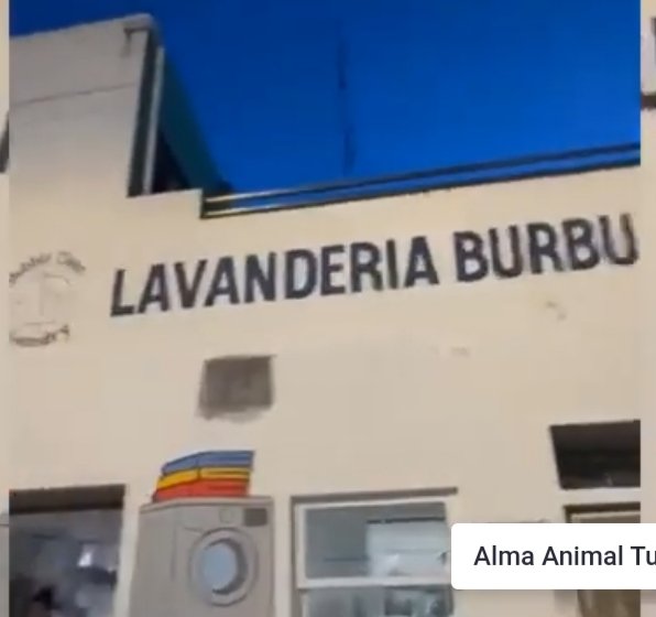 DefensaAnimal's tweet photo. 🧵👉🏻🚨 LE QUIEBRAN LAS PATAS A PERRITO EN TULUM;  
solo se puede desplazar arrastrándose. La AC Alma Animal Tulum denunció la agresión; el supuesto responsable es un empleado o el dueño de la lavandería "Burbujas", en la colonia Tumben Ka’a, de Tulum.
@diegocastanonmx
@Ayto_Tulum https://t.co/BKvAG6n9LK