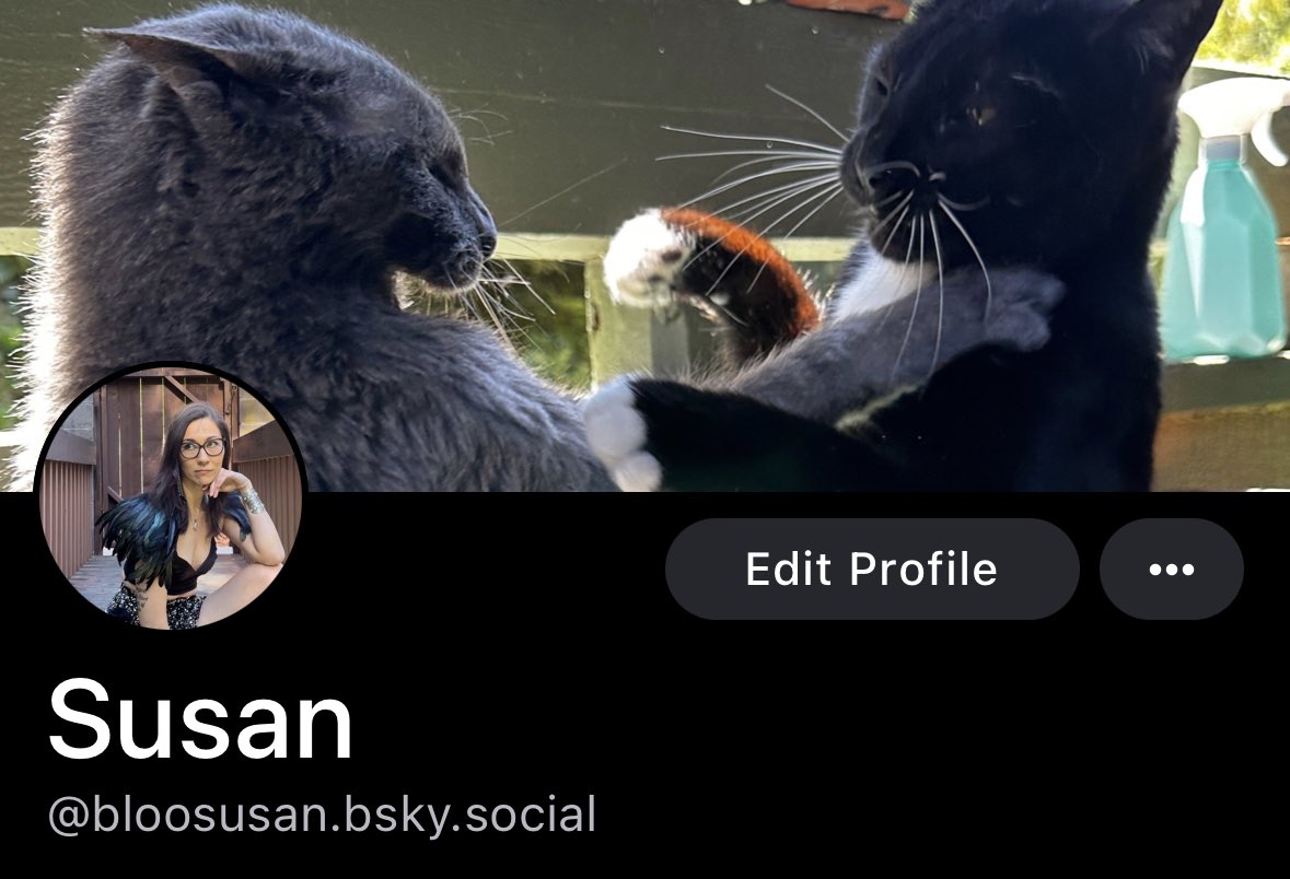 bloosusan's tweet photo. Looks like I have another place to maintain another profile. Let’s see how this goes! https://t.co/b3a7mbmcPC