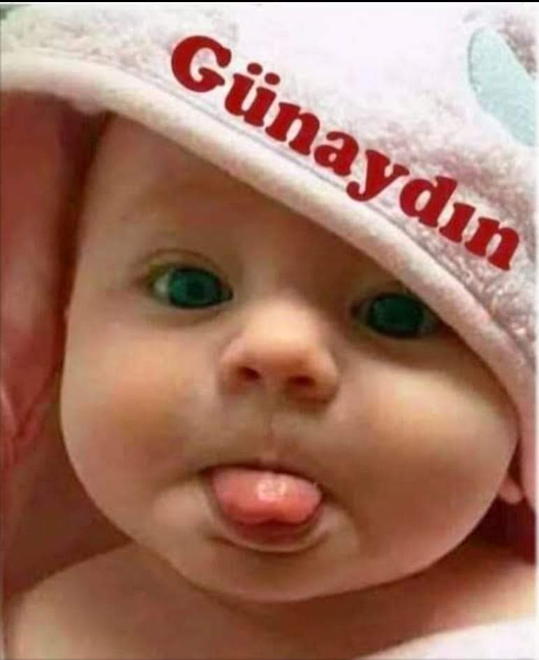 Harunkurun's tweet photo. Günaydın 
Mutlu sabahlar 😊☕️⚘️🫶🇹🇷💙💛💙💛💙💛💙💛 https://t.co/pnE4msGcHZ