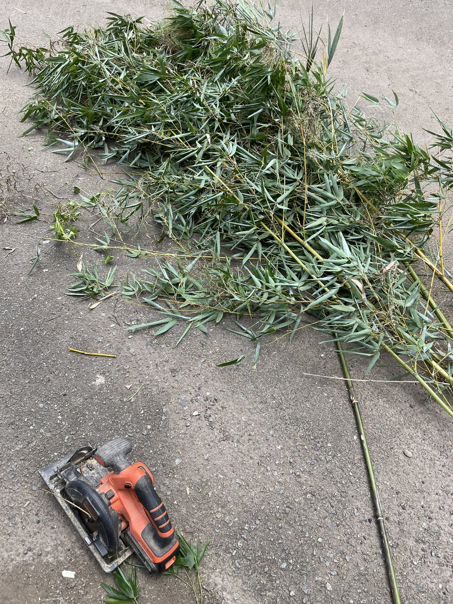 たけ https://t.co/i7EHFDB9cK