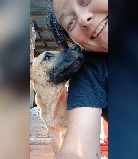 essieb48's tweet photo. This little guy right here, has been my best buddy & 4th child for 4 months now. Thankful we were on that rural road that one day π₯° #DamnitDozer
πΎ on my π§‘ https://t.co/9Ss5s6iOso