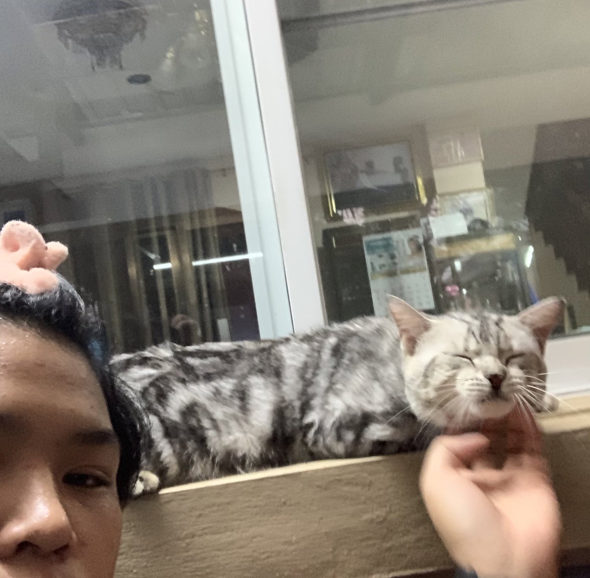 เซลฟี่ w/ ไอ้แงววว