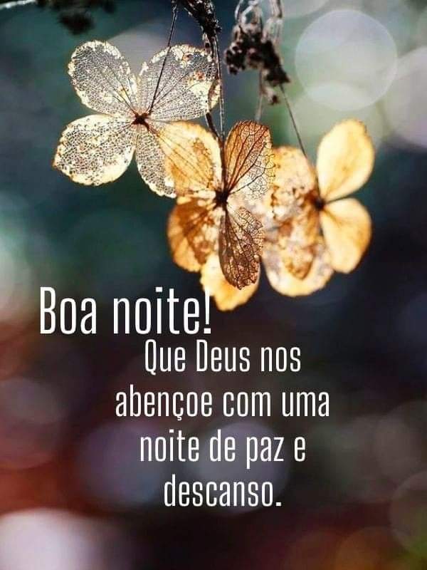 MeirelesFr's tweet photo. @ss_gladys @CerdanPastora @EdithGdeHerrera @MarthaMarin31 @chuy_beto @AELHUZ @paredon_rosy2 @pgnora @d_mhg @ia121224 @gloria_brice @weyoyeyo @PONCHOAGOPLA @MensajesLuz @hobwasalam @hada_protectora @ahinamendez @moro2612 @d_mhg2014 @EfrainBrreraAlv @hildamarcano39 @Lynthuy1958 @BrokenBridgeGXB @malede7 @mila2268 @VicBoy3 @S11Gloria @glaveanton @aucuario @MacloviaMontoy3 @misnietas2013 @anylov7 @leggioluciano @atsnoc @cohintha @arista_azul @mamaruza78 @Luciano09480407 @ninilunera @saludoalalma @JulioMassimino @MayVenezolana @Marpfa @sofiallanes @acosta_reima @f_agonzalez_o @NafethAbo @RossVzla29 Muito obrigada minha querida Gladys. 
Para você e todos os mencionados 
Desejo uma Santa Noite e abençoado fim de semana com muita saúde paz alegria e as bênçãos de DEUS. 
Beijos nos vossos corações. https://t.co/JN3gtfOX27