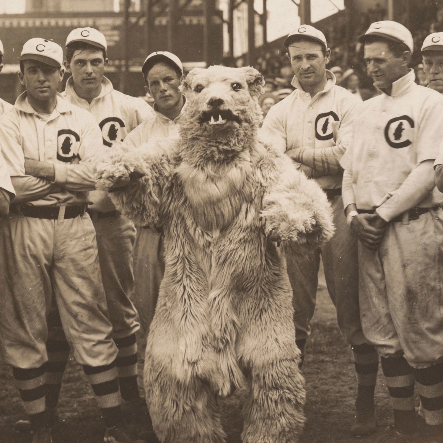 BaseballHistoryNut on Twitter "The Cubs have been around since 1876