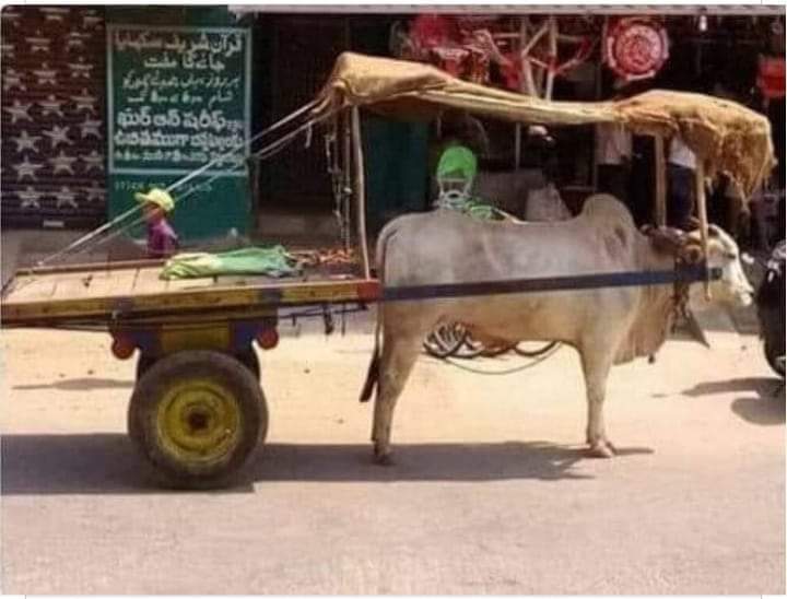 kissan_pakistan's tweet photo. اس کا مالک انسان کہلوانے کے قابل ہے 👏
اس معاشرے میں !!! https://t.co/AeoKt9ZvzQ