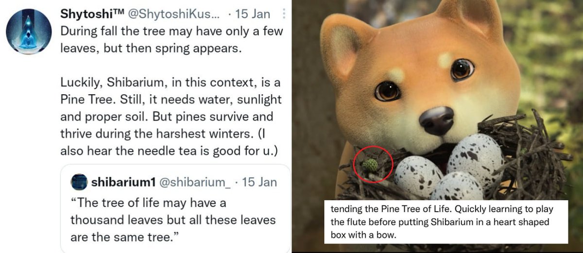 NeoGhostYashi's tweet photo. We all know Suzume is MV related from Certik. But what about the pinecone clues from @ShytoshiKusama &amp; the 2 videos? Will these be revealed in August?  

Someone has revealed.. 
Pinecone AI (https://t.co/uEEMP51Pp3). The Pinecone Vector Database.

$Shib $Bone $Suzume $AI https://t.co/6f3GdcEXsL