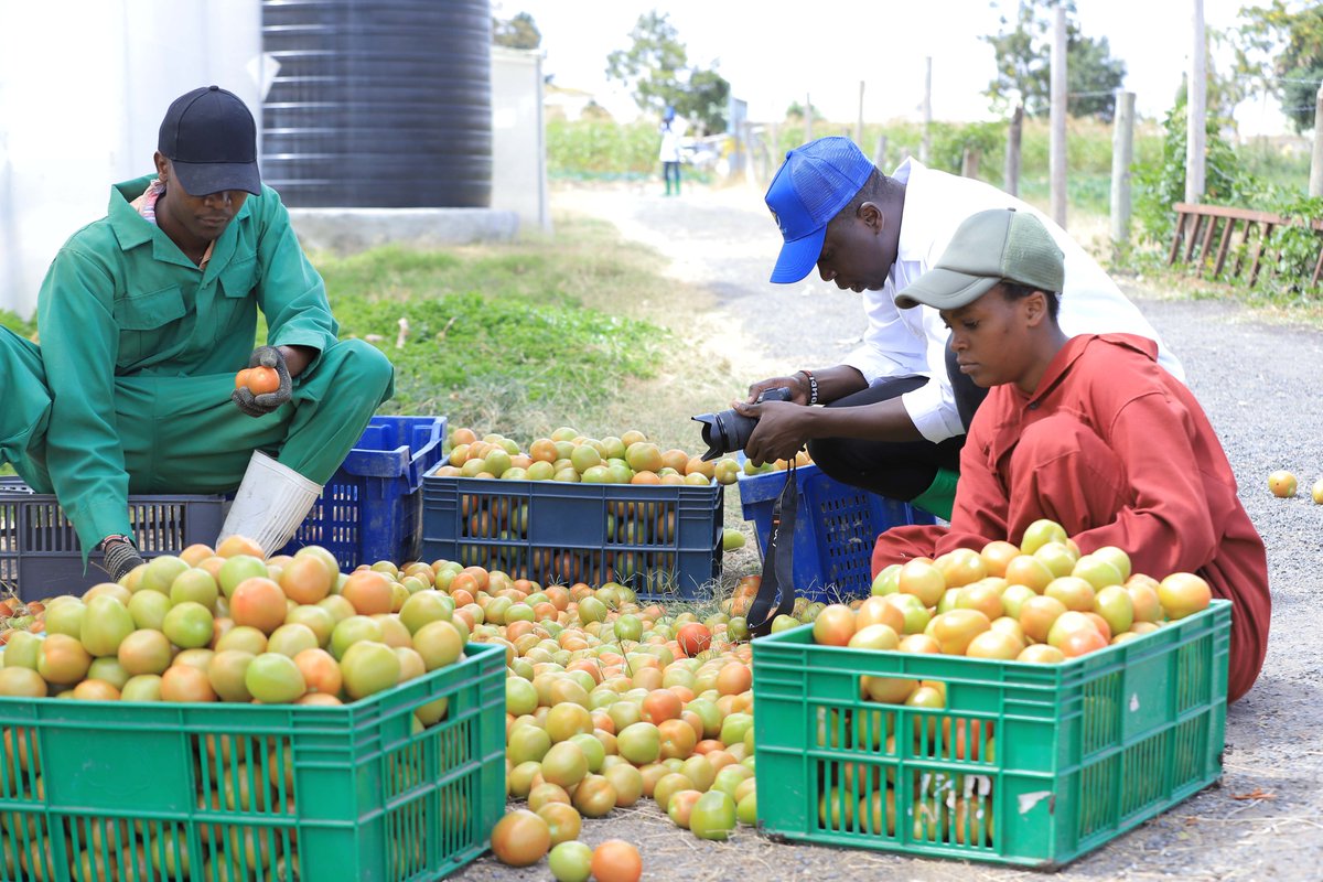 AgroTech Plus (ATP) tweet media